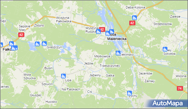 mapa Młotkowice, Młotkowice na mapie Targeo