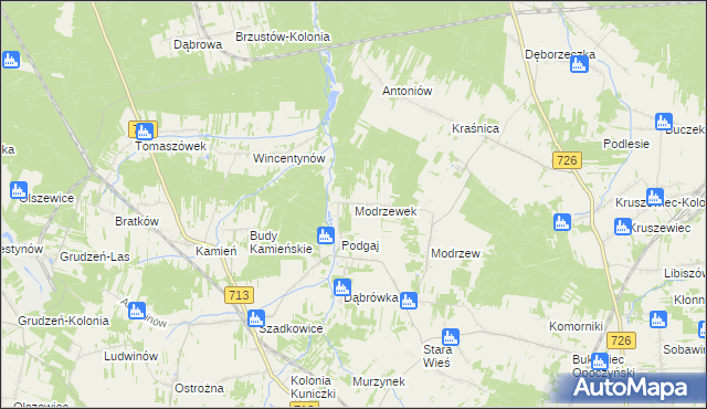 mapa Modrzewek gmina Opoczno, Modrzewek gmina Opoczno na mapie Targeo