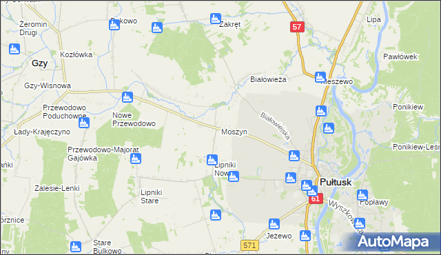 mapa Moszyn, Moszyn na mapie Targeo