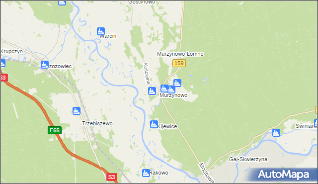 mapa Murzynowo gmina Skwierzyna, Murzynowo gmina Skwierzyna na mapie Targeo