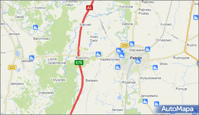 mapa Nadleśnictwo, Nadleśnictwo na mapie Targeo