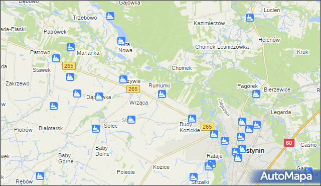 mapa Nagodów gmina Gostynin, Nagodów gmina Gostynin na mapie Targeo