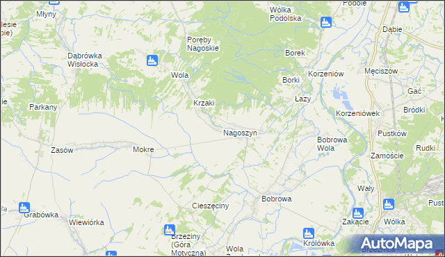 mapa Nagoszyn, Nagoszyn na mapie Targeo