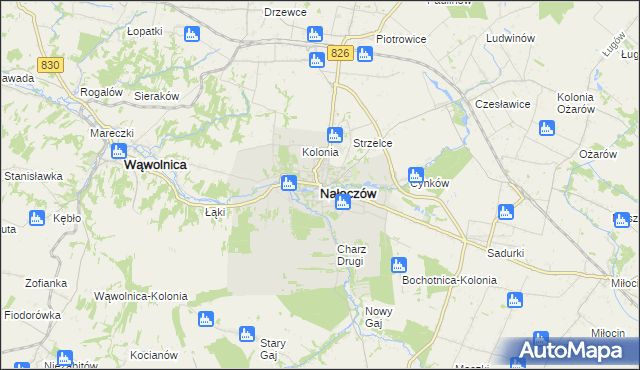 mapa Nałęczów powiat puławski, Nałęczów powiat puławski na mapie Targeo