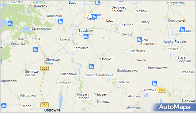 mapa Nieborzyn gmina Kleczew, Nieborzyn gmina Kleczew na mapie Targeo