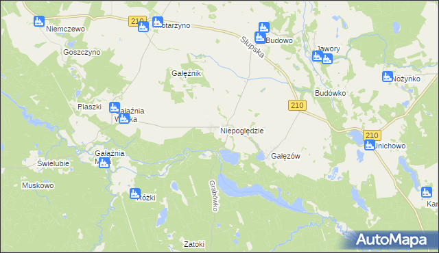 mapa Niepoględzie, Niepoględzie na mapie Targeo