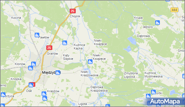 mapa Niwki Książęce gmina Międzybórz, Niwki Książęce gmina Międzybórz na mapie Targeo
