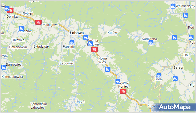 mapa Nowa Wieś gmina Łabowa, Nowa Wieś gmina Łabowa na mapie Targeo