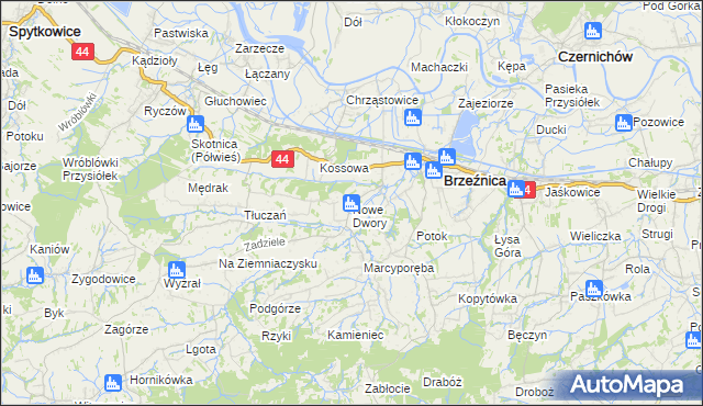 mapa Nowe Dwory gmina Brzeźnica, Nowe Dwory gmina Brzeźnica na mapie Targeo