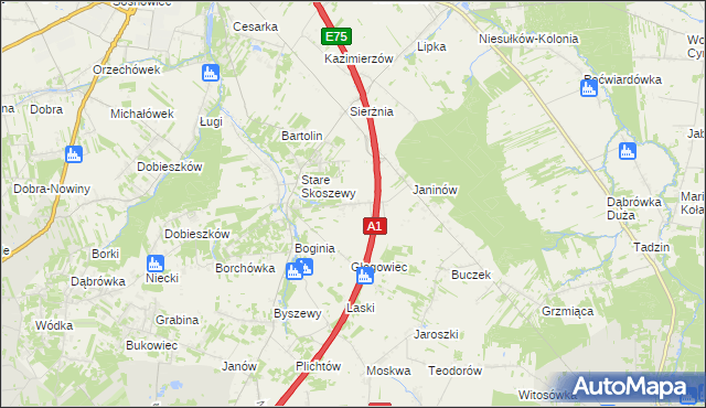 mapa Nowe Skoszewy, Nowe Skoszewy na mapie Targeo