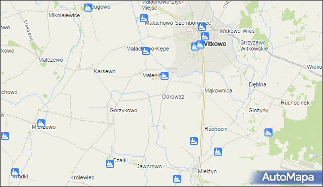 mapa Odrowąż gmina Witkowo, Odrowąż gmina Witkowo na mapie Targeo