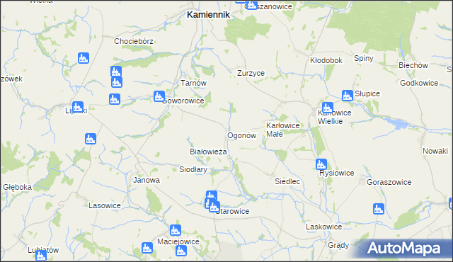 mapa Ogonów gmina Kamiennik, Ogonów gmina Kamiennik na mapie Targeo