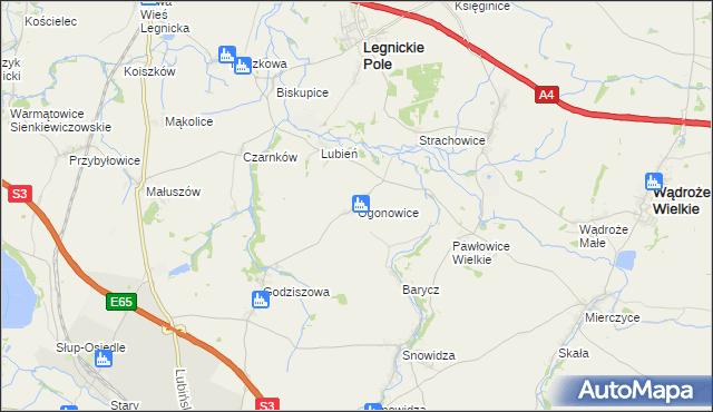 mapa Ogonowice gmina Legnickie Pole, Ogonowice gmina Legnickie Pole na mapie Targeo