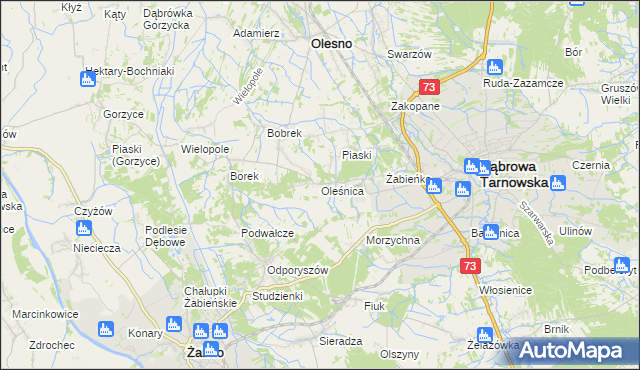 mapa Oleśnica gmina Olesno, Oleśnica gmina Olesno na mapie Targeo