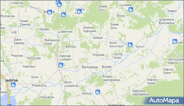 mapa Olszowa gmina Jastrzębia, Olszowa gmina Jastrzębia na mapie Targeo
