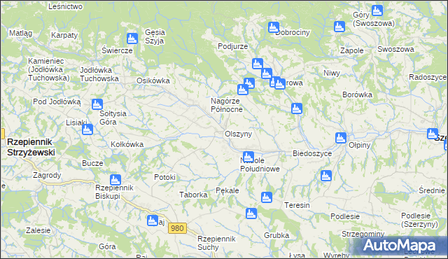 mapa Olszyny gmina Rzepiennik Strzyżewski, Olszyny gmina Rzepiennik Strzyżewski na mapie Targeo