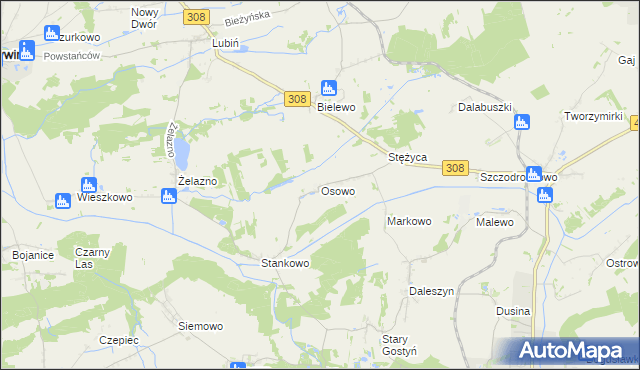 mapa Osowo gmina Gostyń, Osowo gmina Gostyń na mapie Targeo
