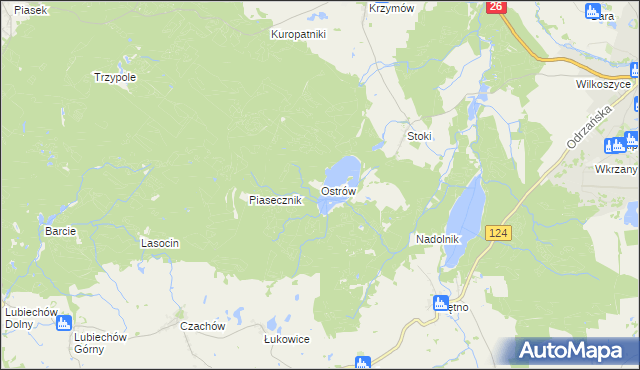 mapa Ostrów gmina Chojna, Ostrów gmina Chojna na mapie Targeo