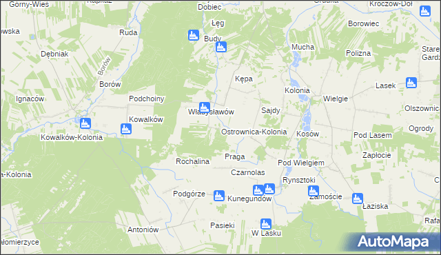 mapa Ostrownica-Kolonia, Ostrownica-Kolonia na mapie Targeo