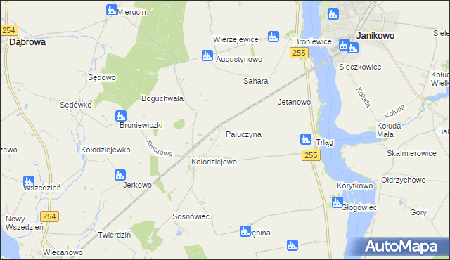 mapa Pałuczyna, Pałuczyna na mapie Targeo