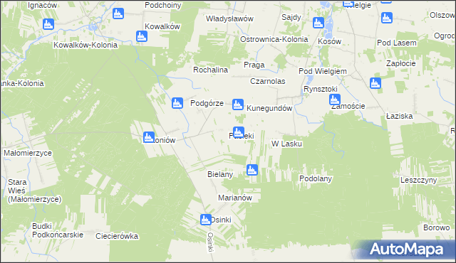 mapa Pasieki gmina Ciepielów, Pasieki gmina Ciepielów na mapie Targeo