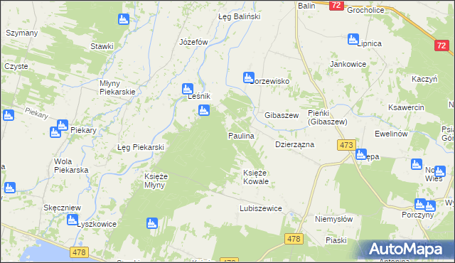 mapa Paulina gmina Poddębice, Paulina gmina Poddębice na mapie Targeo