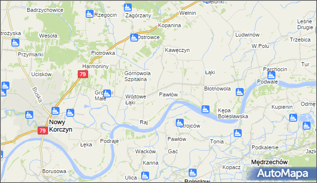 mapa Pawłów gmina Nowy Korczyn, Pawłów gmina Nowy Korczyn na mapie Targeo