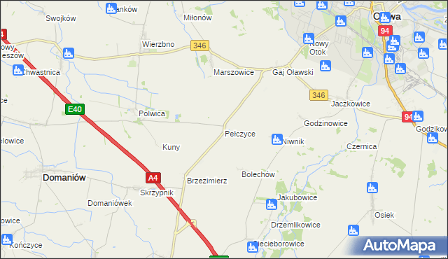 mapa Pełczyce gmina Domaniów, Pełczyce gmina Domaniów na mapie Targeo