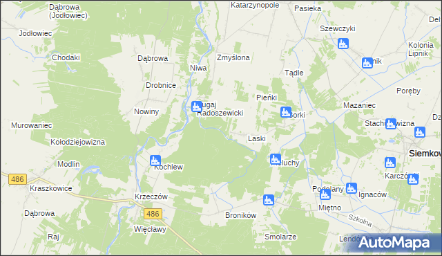 mapa Pieńki Laskowskie, Pieńki Laskowskie na mapie Targeo
