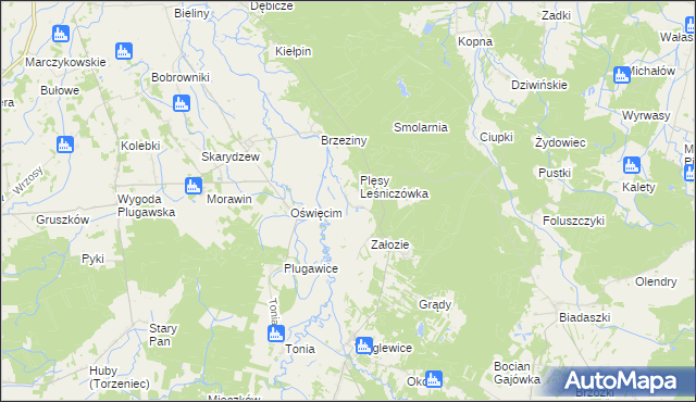 mapa Plęsy gmina Galewice, Plęsy gmina Galewice na mapie Targeo