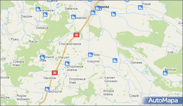 mapa Płoski, Płoski na mapie Targeo