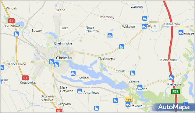 mapa Pluskowęsy gmina Chełmża, Pluskowęsy gmina Chełmża na mapie Targeo