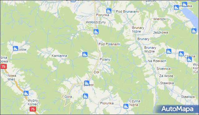 mapa Polany gmina Krynica-Zdrój, Polany gmina Krynica-Zdrój na mapie Targeo