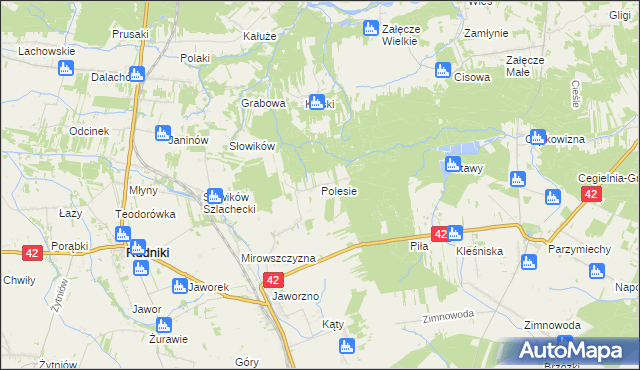 mapa Polesie gmina Rudniki, Polesie gmina Rudniki na mapie Targeo