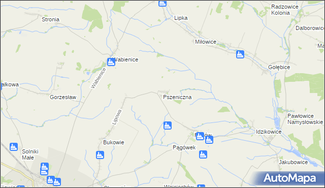 mapa Pszeniczna, Pszeniczna na mapie Targeo