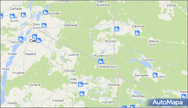 mapa Pustelnia gmina Cekcyn, Pustelnia gmina Cekcyn na mapie Targeo