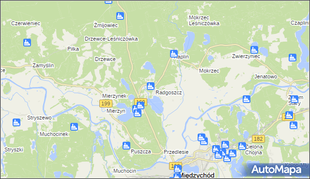 mapa Radgoszcz gmina Międzychód, Radgoszcz gmina Międzychód na mapie Targeo