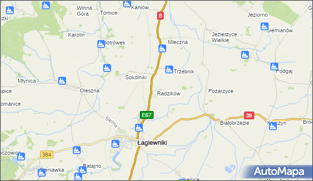 mapa Radzików gmina Łagiewniki, Radzików gmina Łagiewniki na mapie Targeo