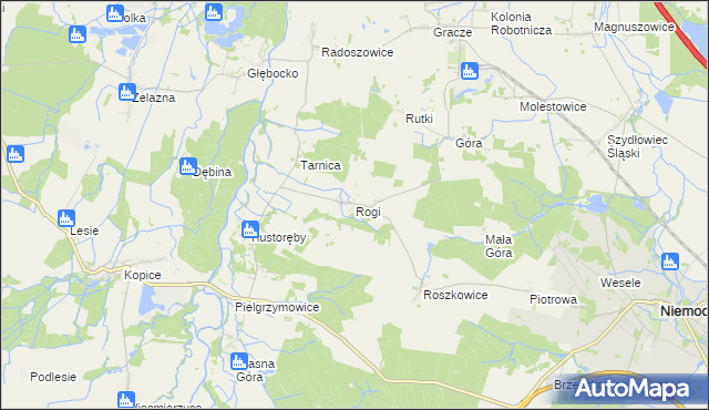 mapa Rogi gmina Niemodlin, Rogi gmina Niemodlin na mapie Targeo