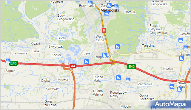 mapa Rogoźnica gmina Głogów Małopolski, Rogoźnica gmina Głogów Małopolski na mapie Targeo