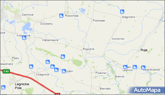 mapa Rogoźnik gmina Ruja, Rogoźnik gmina Ruja na mapie Targeo