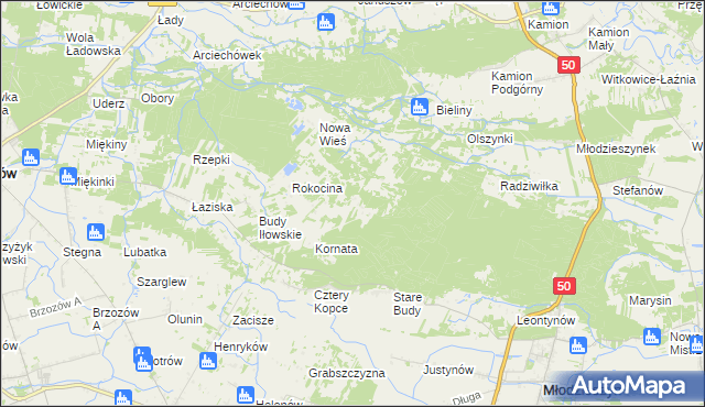 mapa Rokicina, Rokicina na mapie Targeo