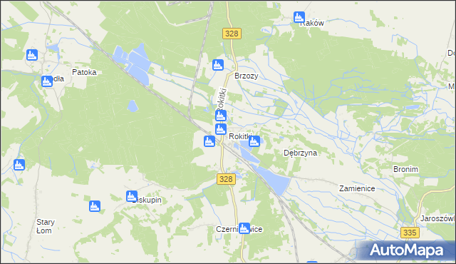 mapa Rokitki gmina Chojnów, Rokitki gmina Chojnów na mapie Targeo