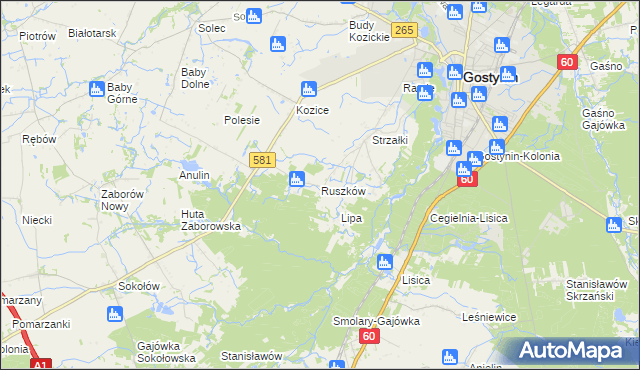 mapa Ruszków gmina Gostynin, Ruszków gmina Gostynin na mapie Targeo