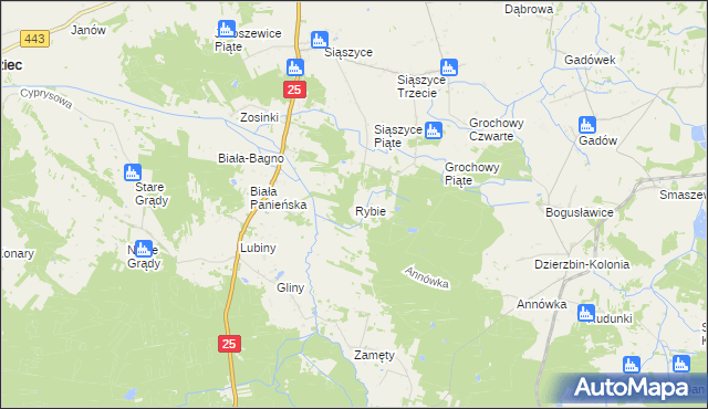 mapa Rybie gmina Rychwał, Rybie gmina Rychwał na mapie Targeo