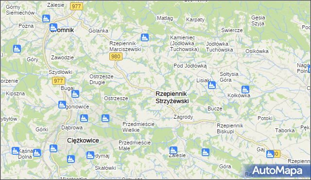 mapa Rzepiennik Strzyżewski, Rzepiennik Strzyżewski na mapie Targeo