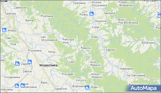 mapa Rzepnik, Rzepnik na mapie Targeo