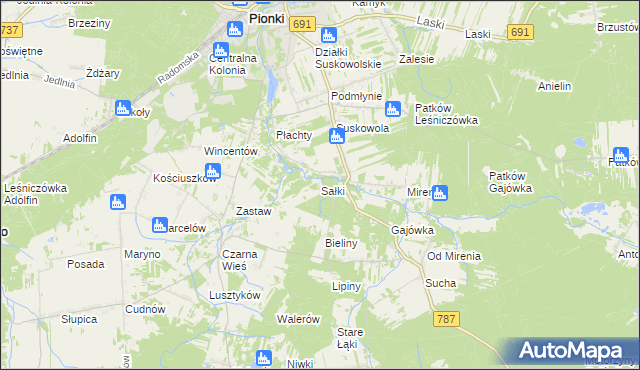 mapa Sałki gmina Pionki, Sałki gmina Pionki na mapie Targeo