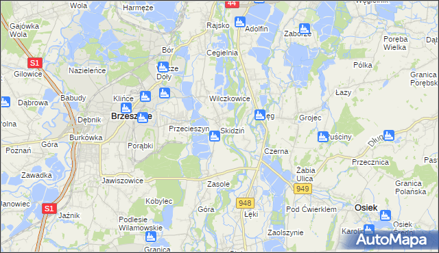 mapa Skidziń, Skidziń na mapie Targeo