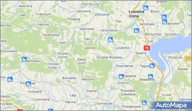 mapa Skrzętla-Rojówka, Skrzętla-Rojówka na mapie Targeo